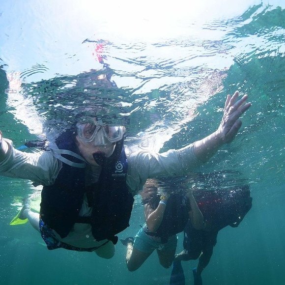 Meet your Posher, Renee - Picture 1 of 1